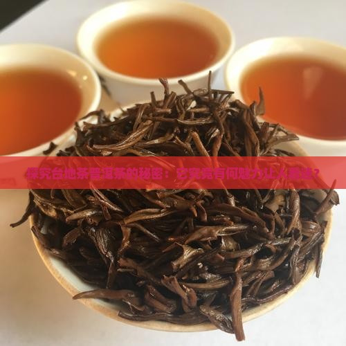 台地茶普洱茶什么意思