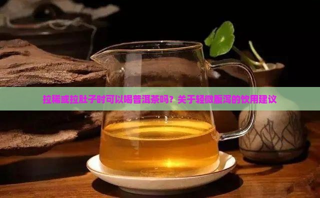 拉稀可以和普洱茶吗