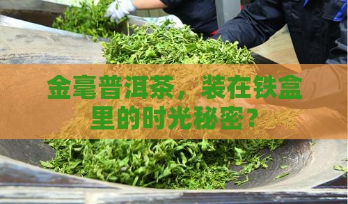 金毫普洱茶铁盒装
