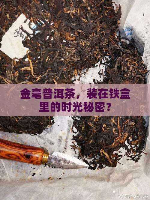 金毫普洱茶铁盒装