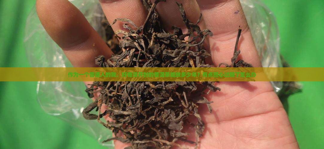 没开封的普洱茶保质期多久