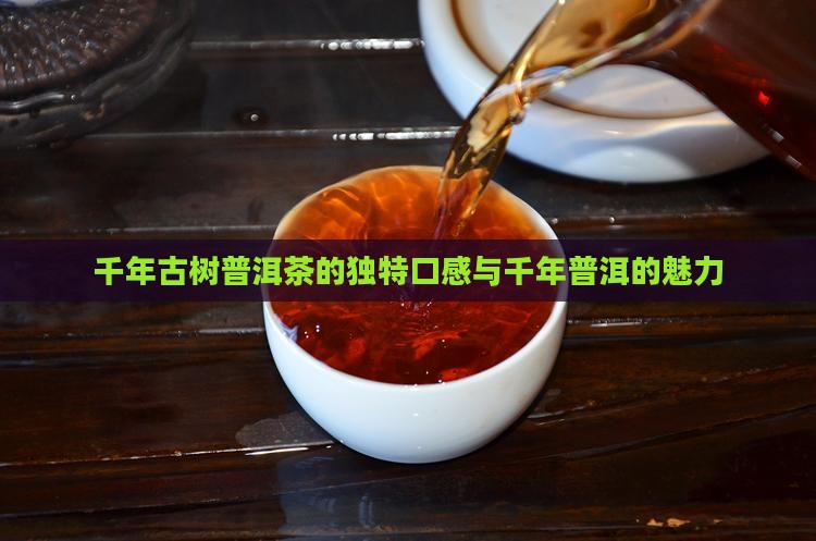 千年古树普洱茶的味道是什么