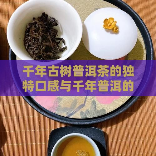 千年古树普洱茶的味道是什么