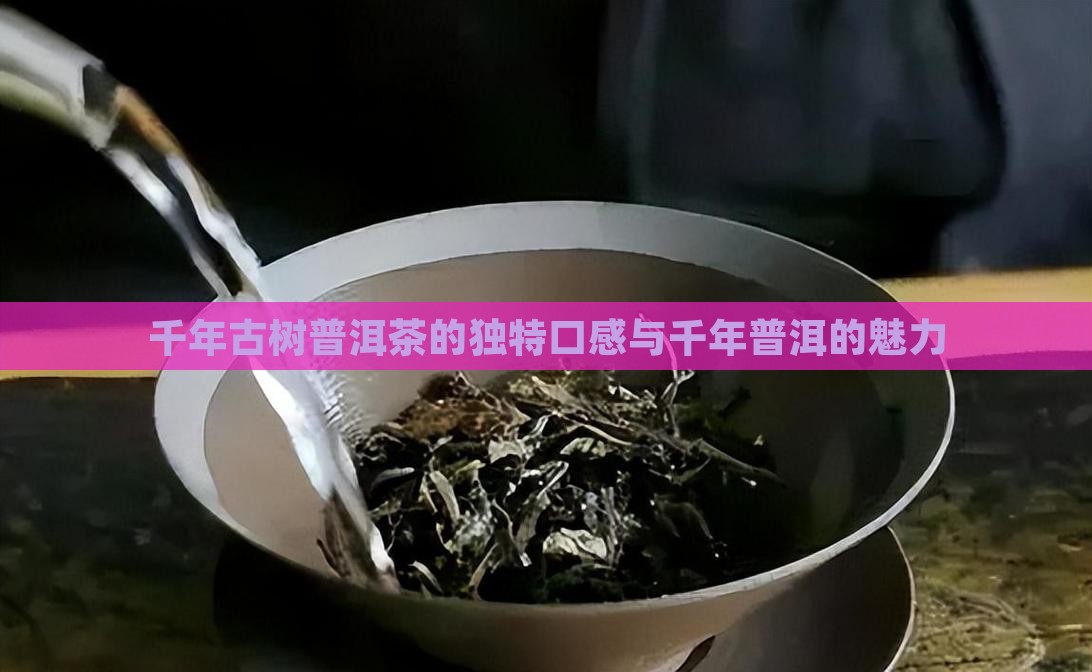 千年古树普洱茶的味道是什么