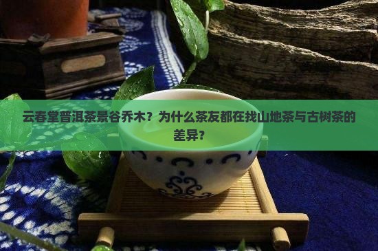 云春堂普洱茶景谷乔木