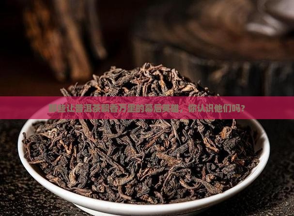 为普洱茶做出贡献的人有哪些