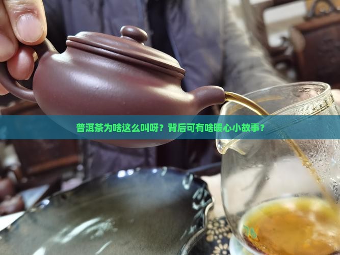 普洱茶的命名有什么 普洱茶的命名有什么