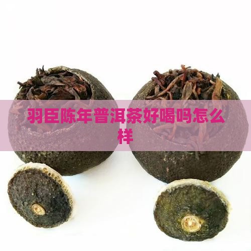 羽臣陈年普洱茶好喝吗怎么样