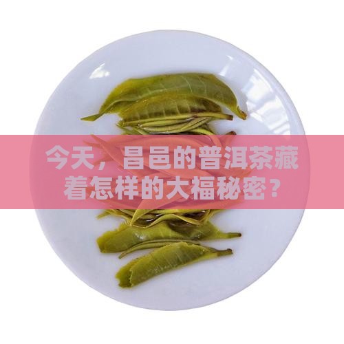 昌邑今大福普洱茶