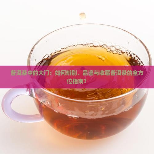 普洱茶中的大门