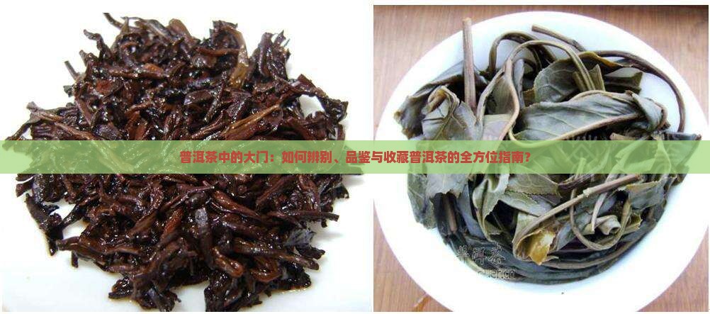 普洱茶中的大门