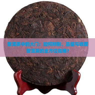 普洱茶中的大门