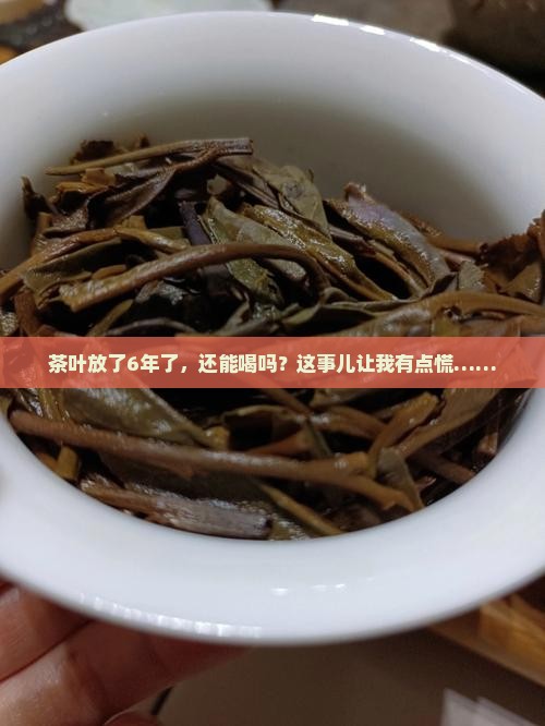 茶叶6年了还能喝吗