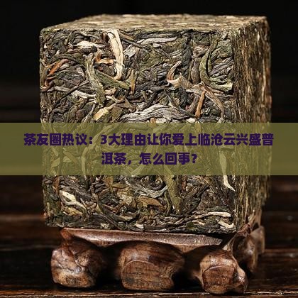 临沧云兴盛普洱茶