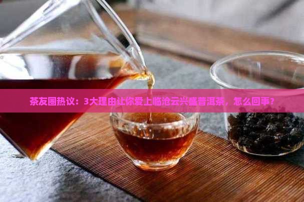 临沧云兴盛普洱茶