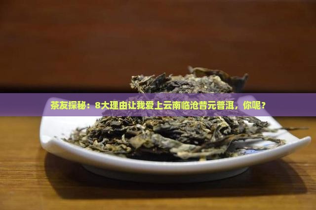 云南临沧昔元普洱茶
