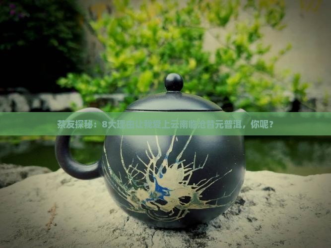 云南临沧昔元普洱茶
