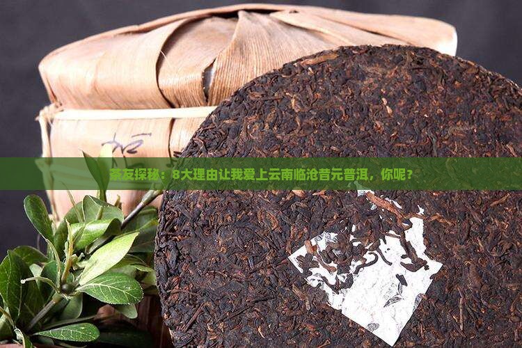 云南临沧昔元普洱茶