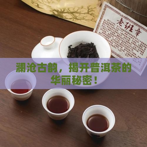 澜沧蕴华普洱茶