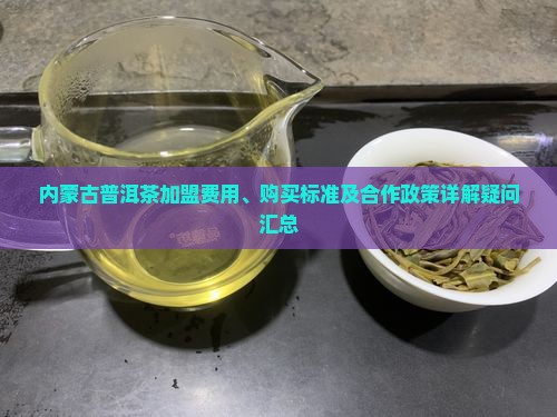 内蒙古普洱茶加盟购买费标准
