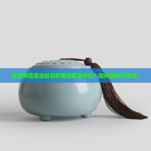 普洱茶虫蛀后样子