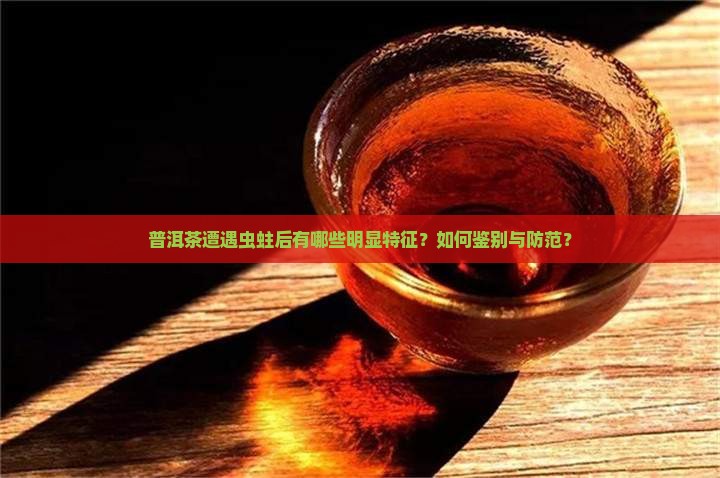 普洱茶虫蛀后样子