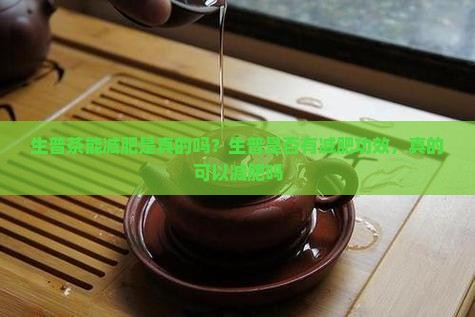 生普茶能减肥是真的吗