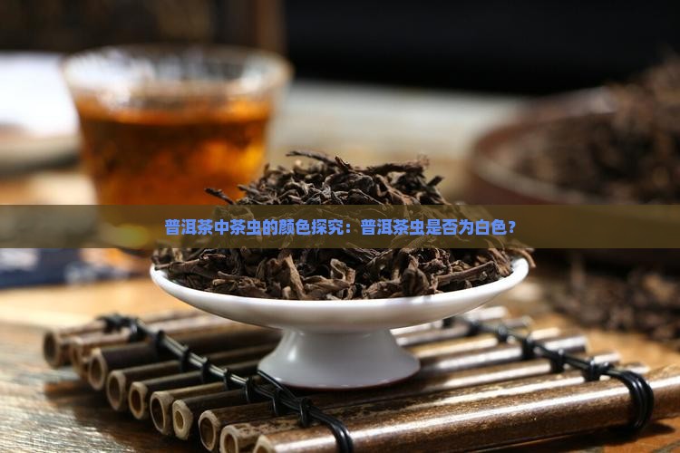 普洱茶的茶虫是白色的吗