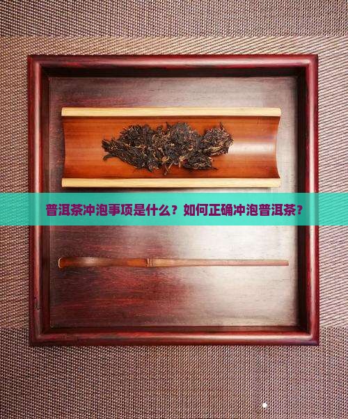 普洱茶冲泡事项是什么呢