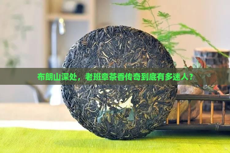 布朗山头中的老班章好吗