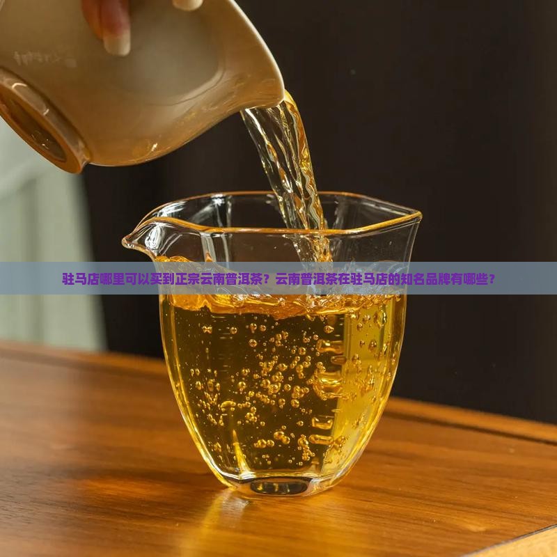 驻马店云南普洱茶