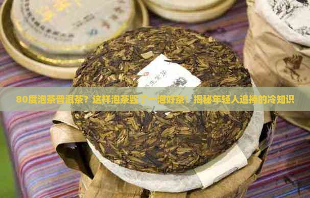 80度泡茶普洱茶