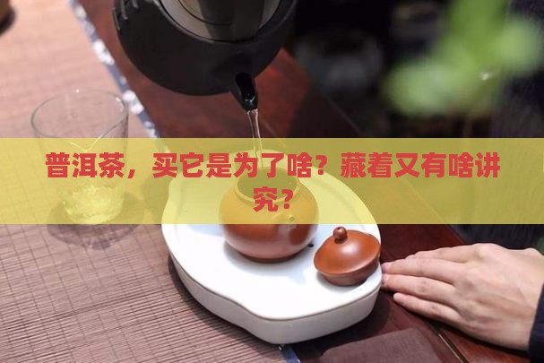 普洱茶购买藏价值及意义