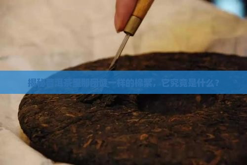 普洱茶有像棉絮一样的