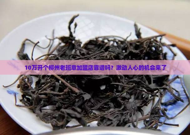 柳州老班章品牌加盟