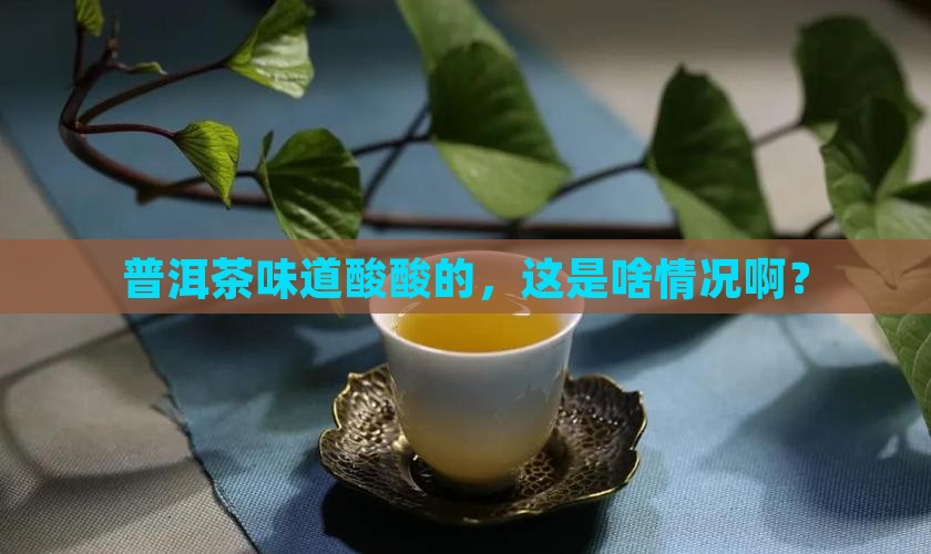 普洱茶喝起来发酸正常不