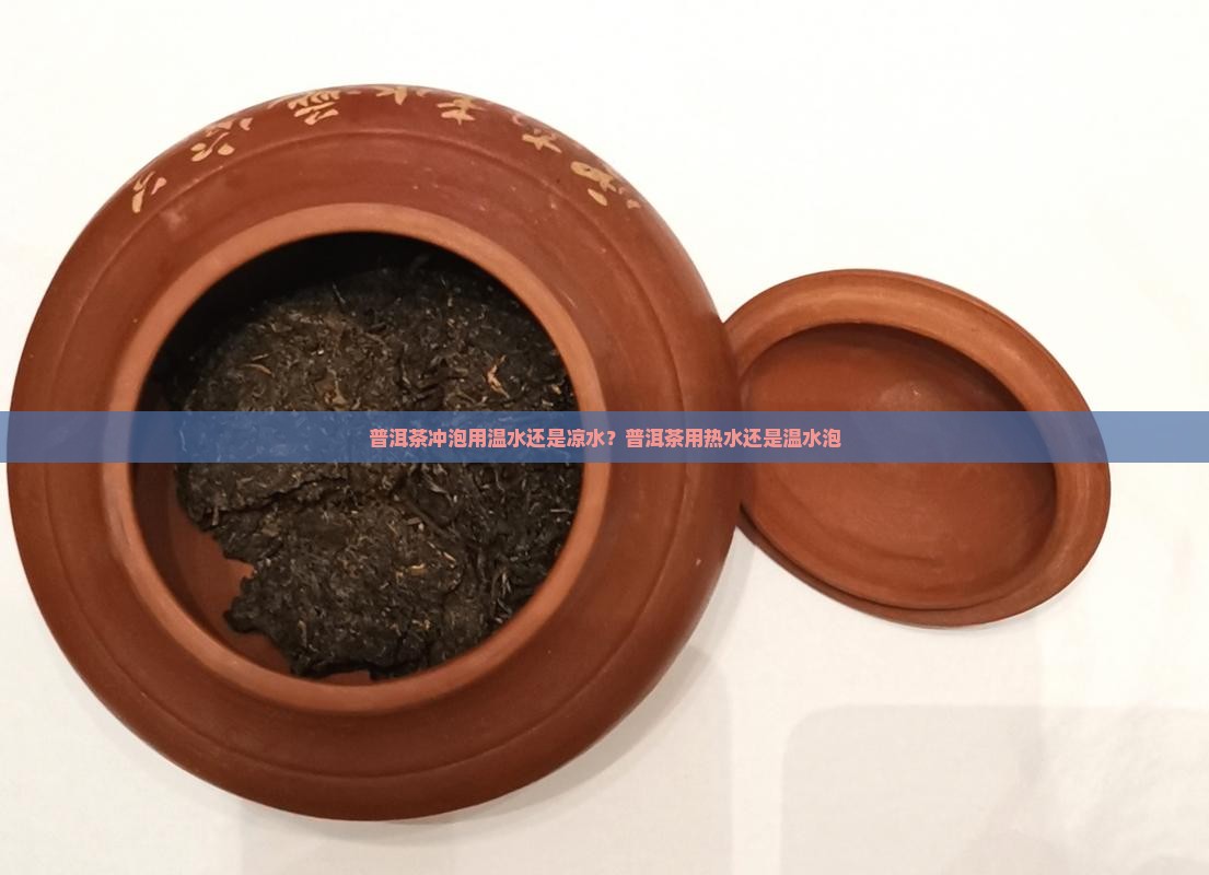 普洱茶冲泡用温水还是凉水