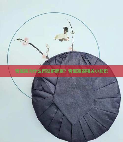 普洱茶多碎茶怎么回事
