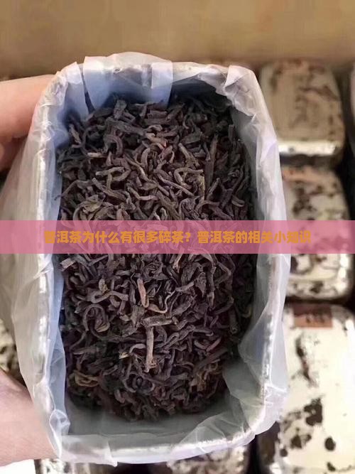 普洱茶多碎茶怎么回事