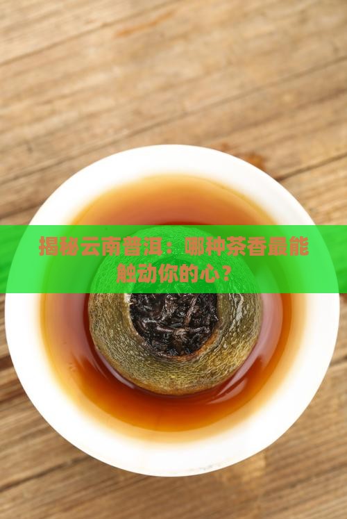云南普洱茶主要种类