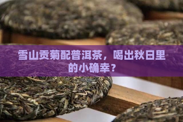 雪山贡菊与普洱茶