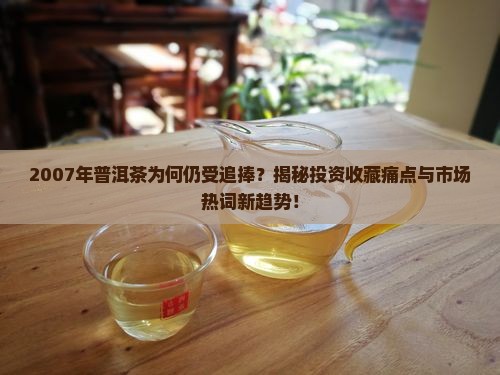 2007年普洱茶