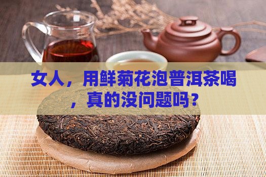 鲜菊花泡普洱茶能喝吗女人