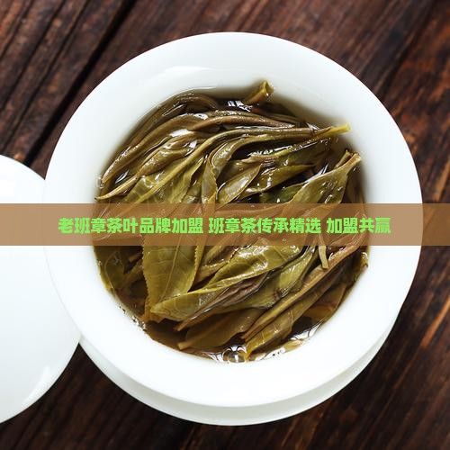 玉林老班章品牌加盟