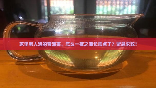 普洱茶泡完发霉