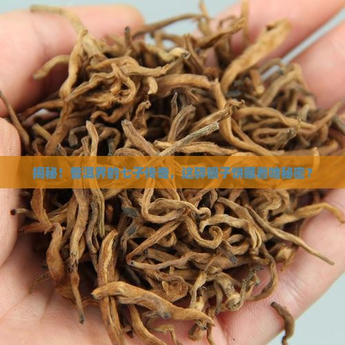 普洱茶七子饼碎银子