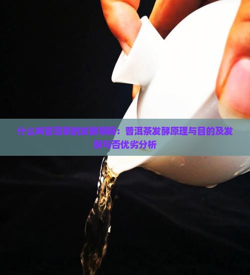 什么叫普洱茶的发酵期间