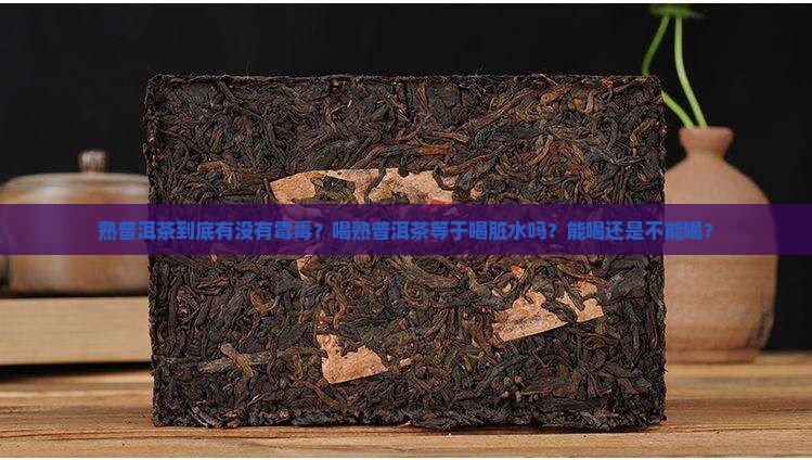 熟普洱茶真的有霉毒吗能喝吗 熟普洱茶真的有霉毒吗能喝吗