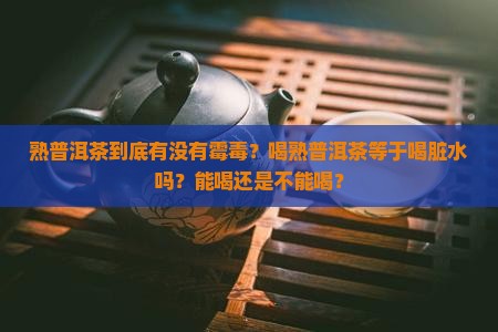 熟普洱茶真的有霉毒吗能喝吗 熟普洱茶真的有霉毒吗能喝吗