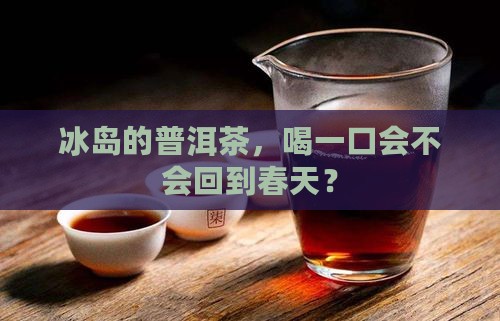 冰岛的普洱茶咋样